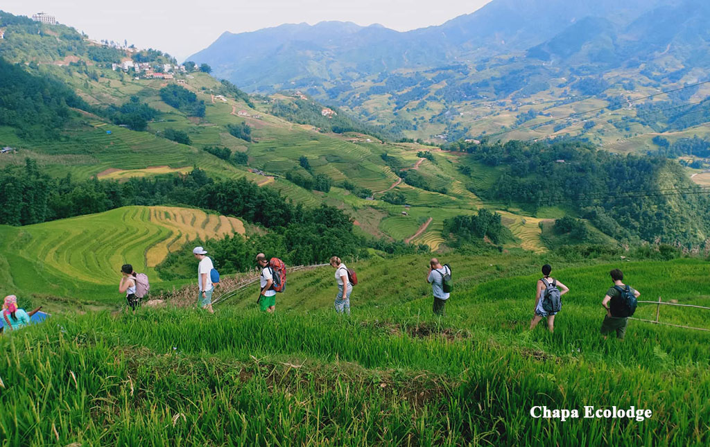 20% Discount For SAPA TREKKING 2 DAYS 1 NIGHT BY BUS