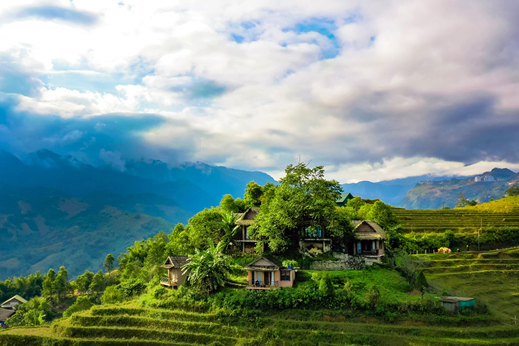 Explore the Majestic Beauty of Sapa Essential Travel Guide